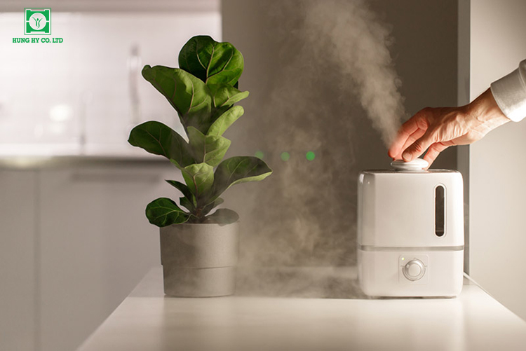 Hãy mua máy tạo độ ẩm để giữ cho không khí trong phòng luôn ẩm và dễ chịu