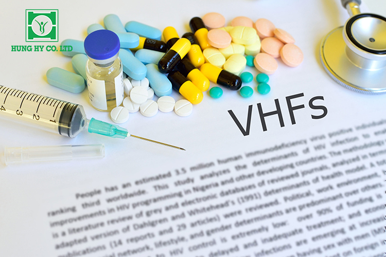 Sốt xuất huyết do vi rút (VHFs) là bệnh do một số loại vi rút gây ra